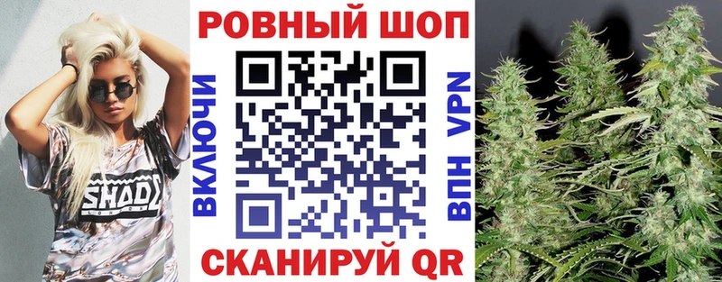  COCAIN Тогучин