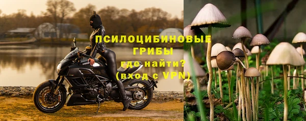 героин Алзамай