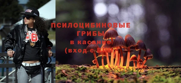 наркотики Алексин