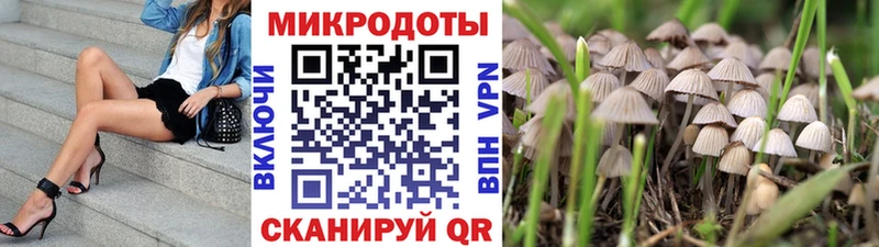 Псилоцибиновые грибы мицелий  Тогучин 